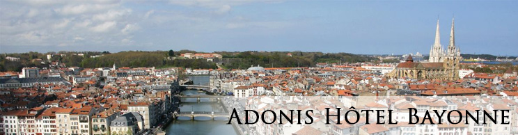 Banniere hotel Adonis Hôtel Bayonne, Bayonne-Lahonce, 64990